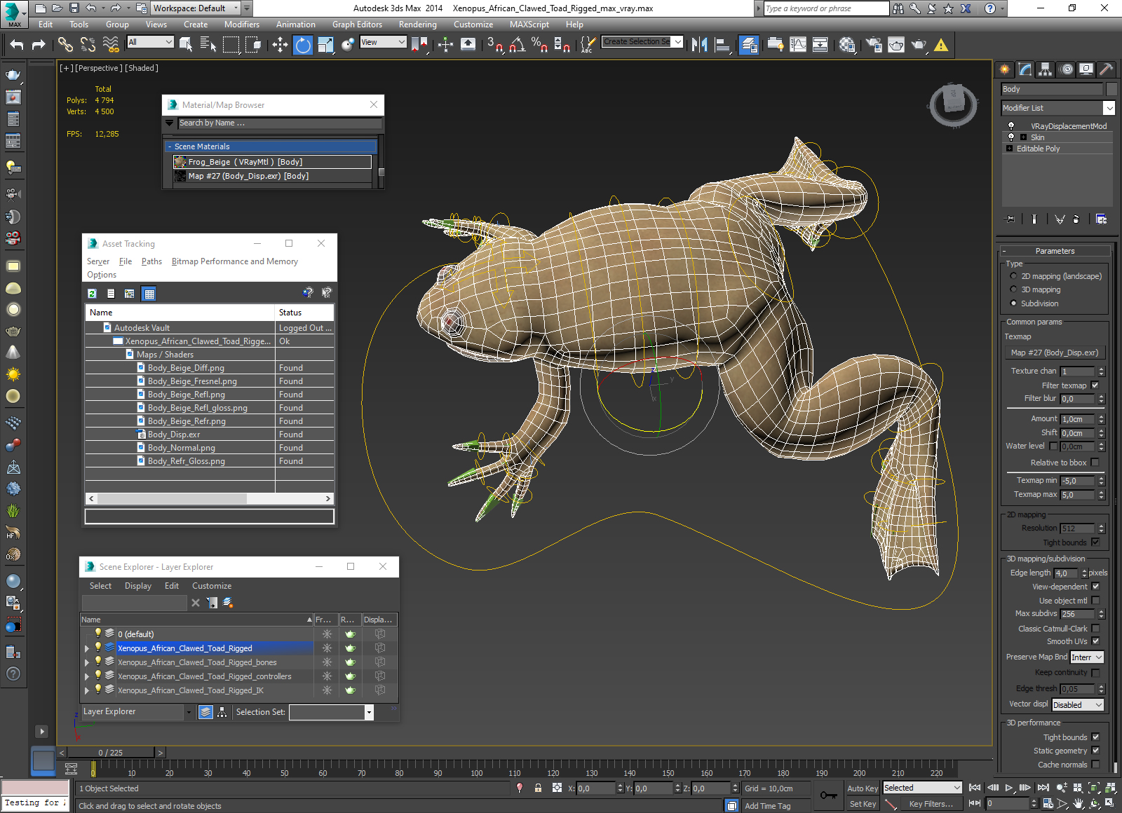 3D Xenopus African Clawed Toad Rigged for Maya model