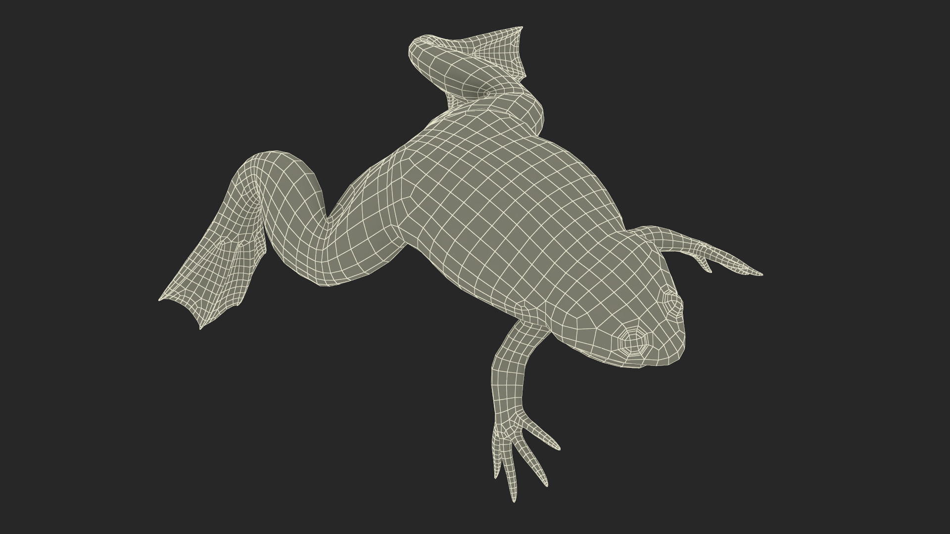 3D Xenopus African Clawed Toad Rigged for Maya model