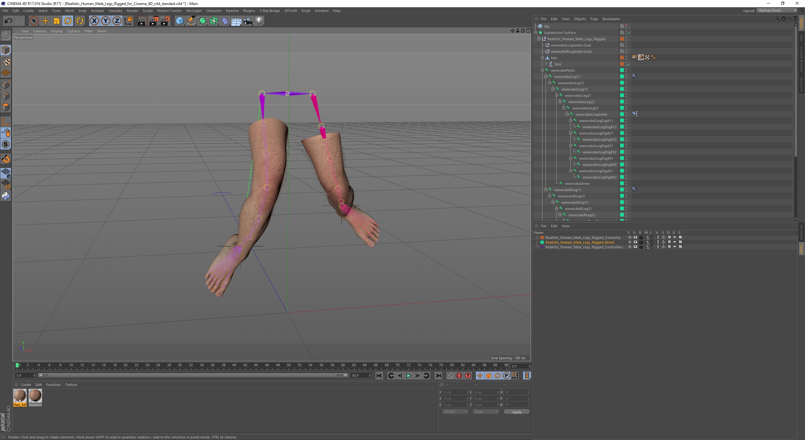 3D Realistic Human Male Legs Rigged for Cinema 4D
