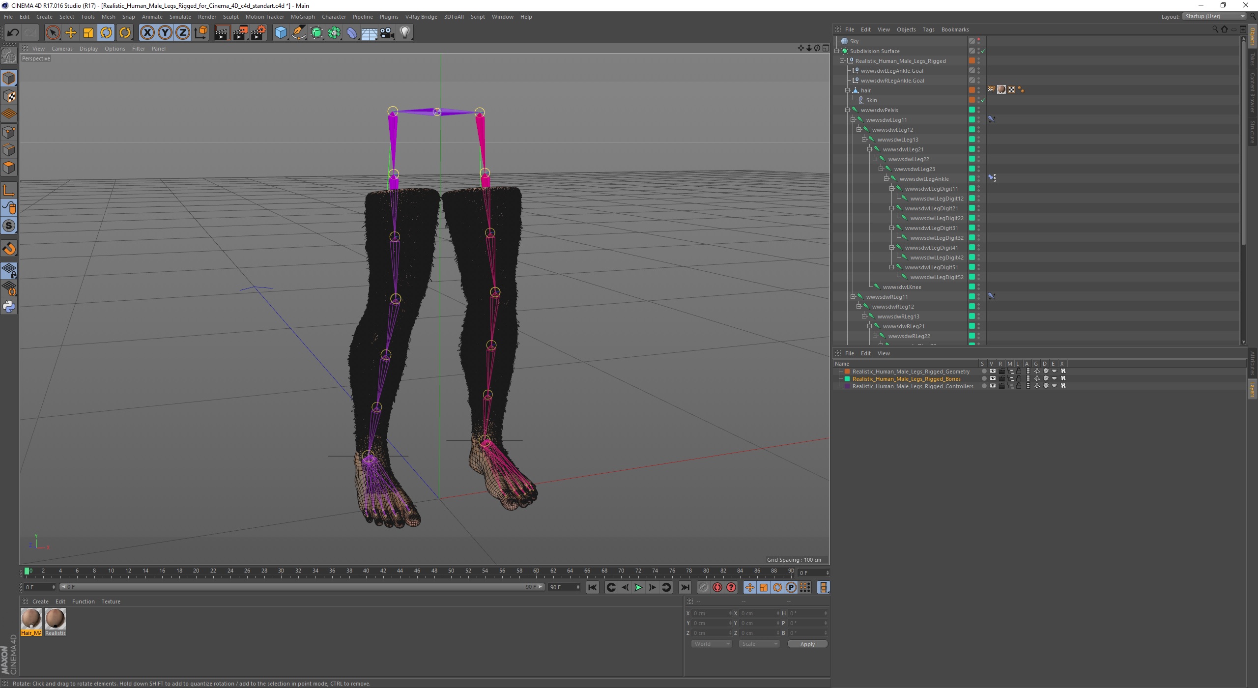 3D Realistic Human Male Legs Rigged for Cinema 4D