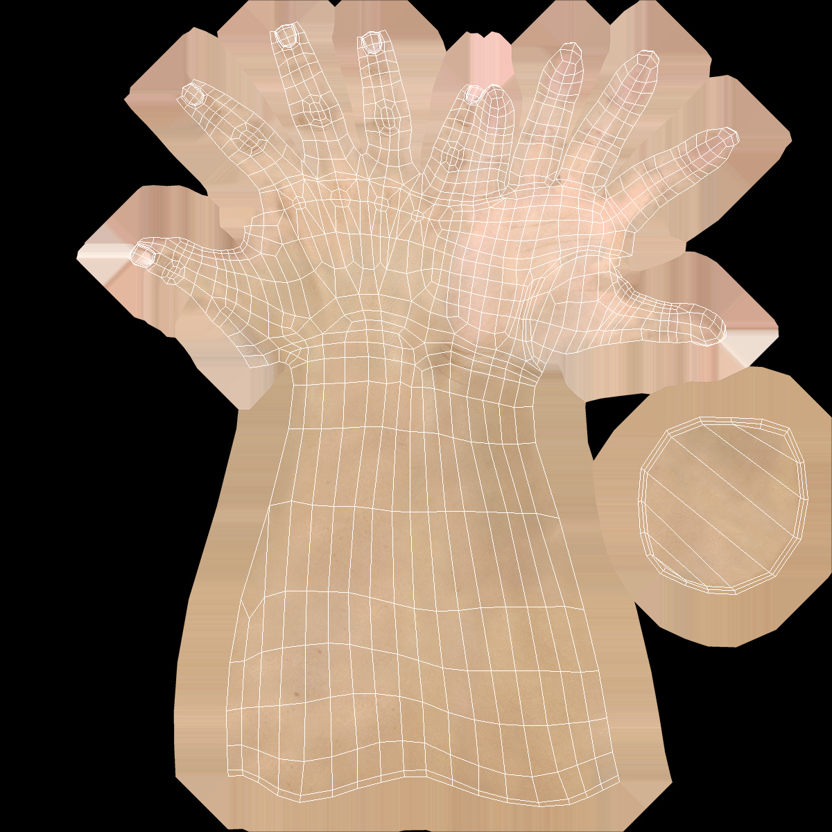 3D Realistic Female Hand Rigged model