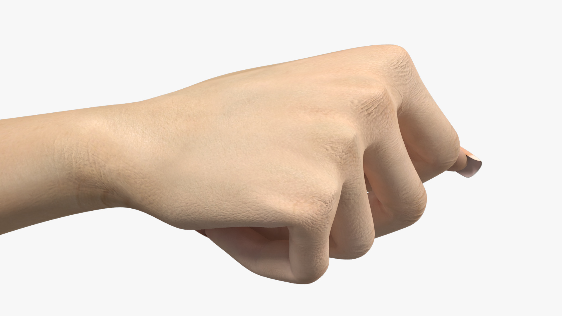 3D Realistic Female Hand Rigged model