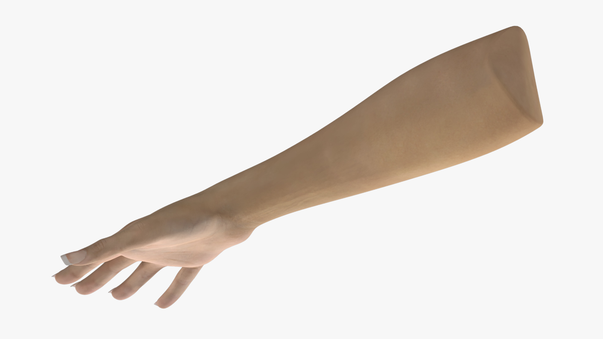 3D Realistic Female Hand Rigged model
