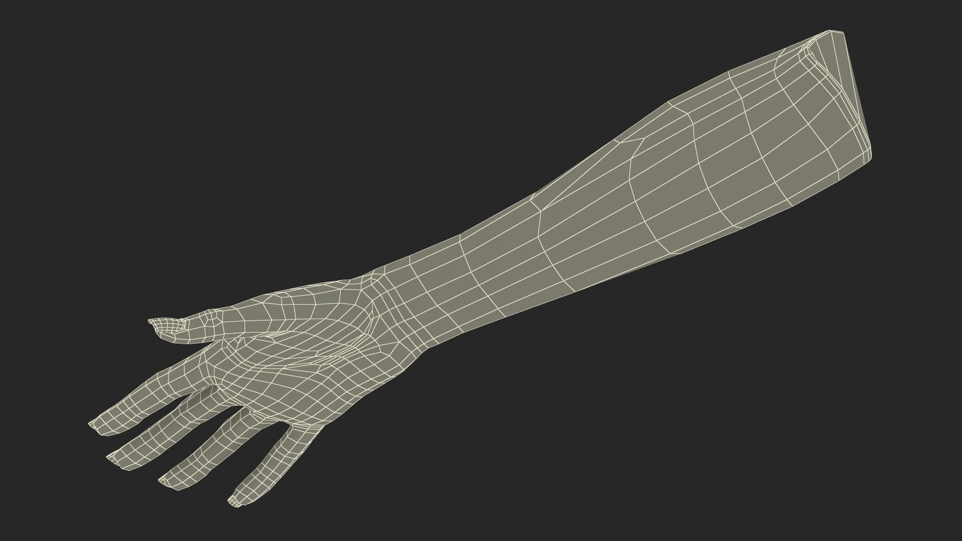 3D Realistic Female Hand Rigged model