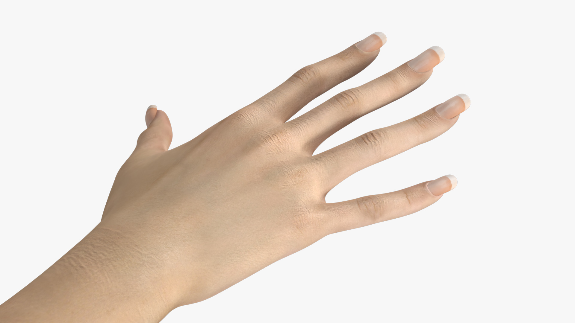 3D Realistic Female Hand Rigged model