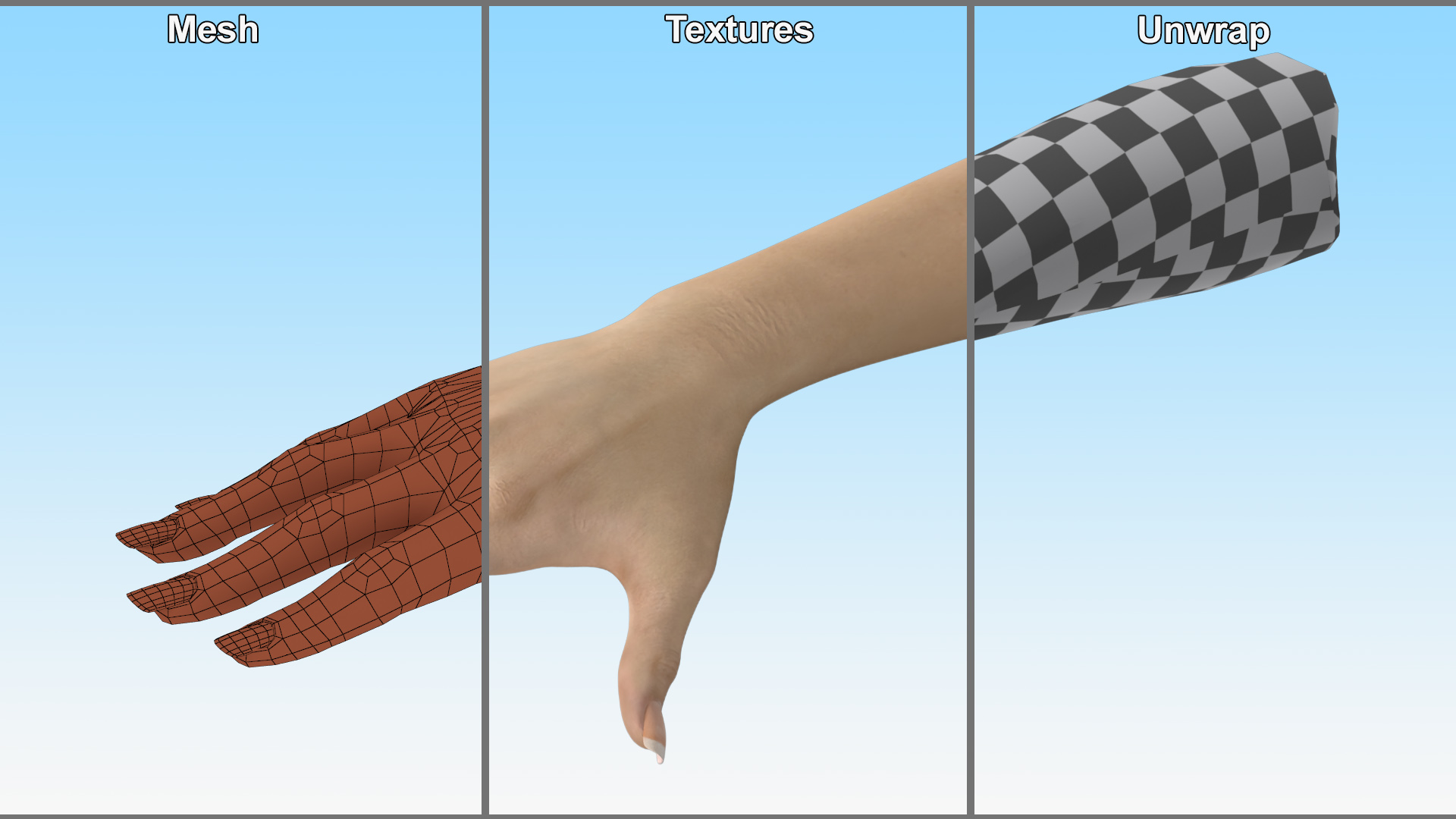 3D Realistic Female Hand Rigged model