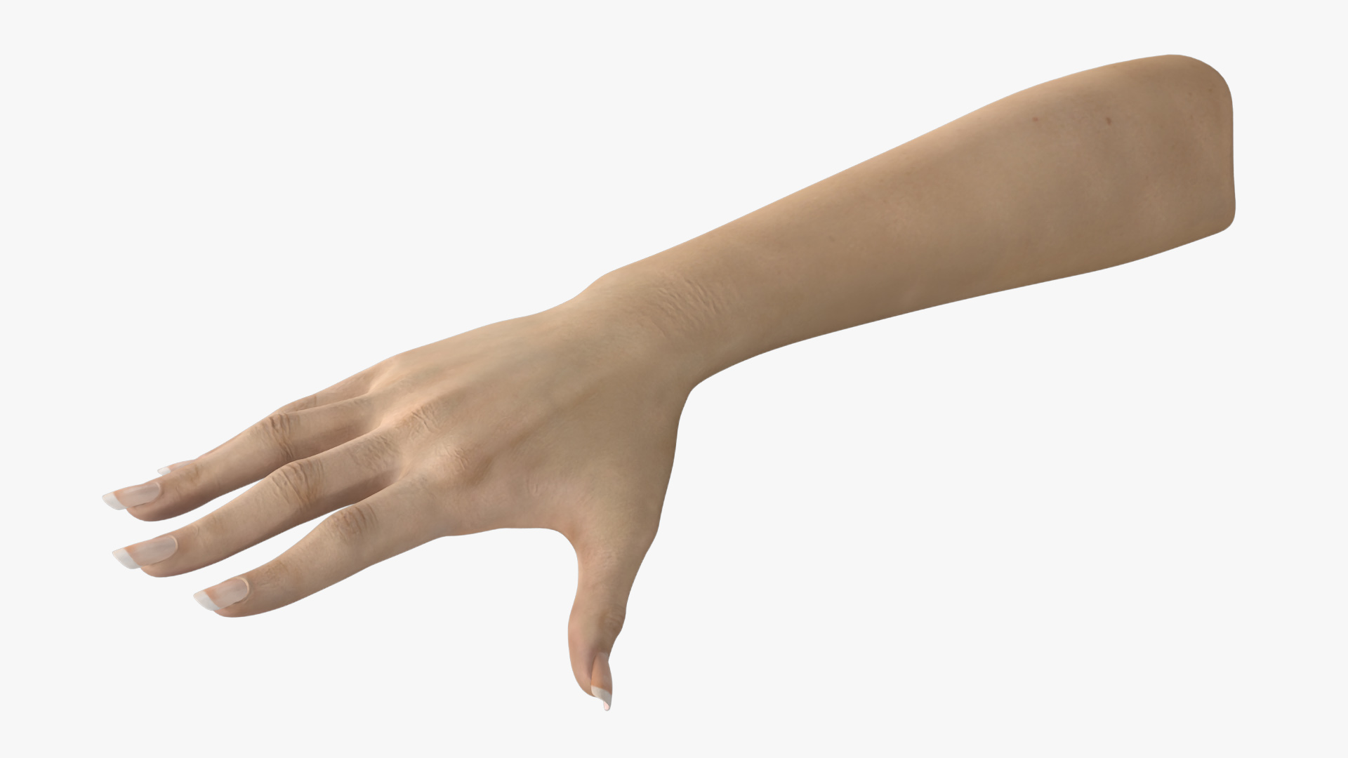3D Realistic Female Hand Rigged model