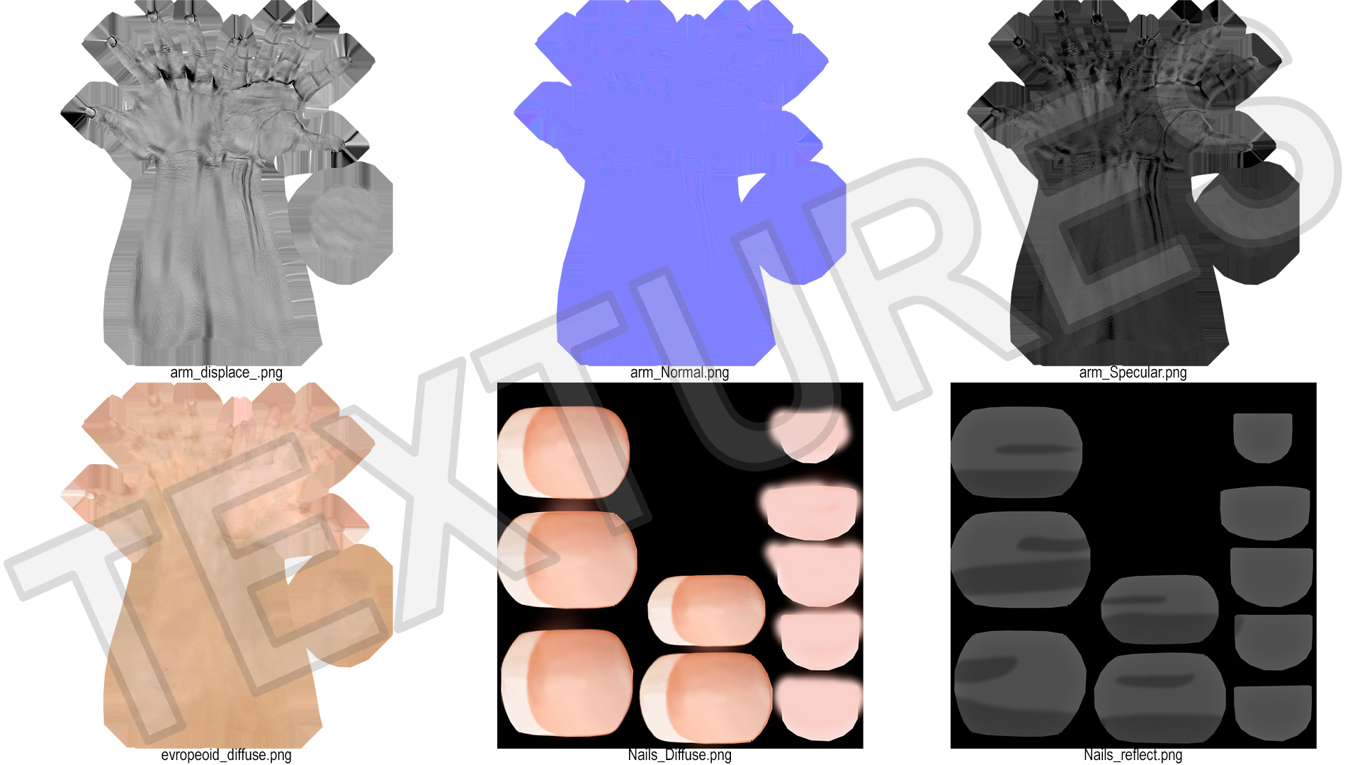 3D Realistic Female Hand Rigged model