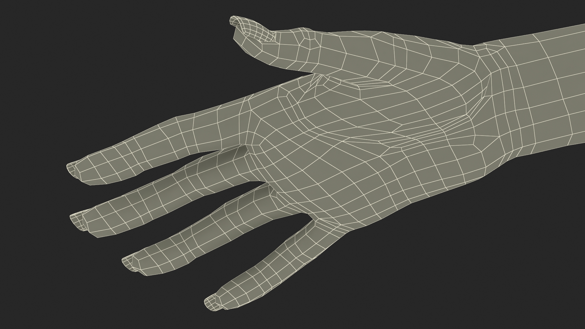 3D Realistic Female Hand Rigged model