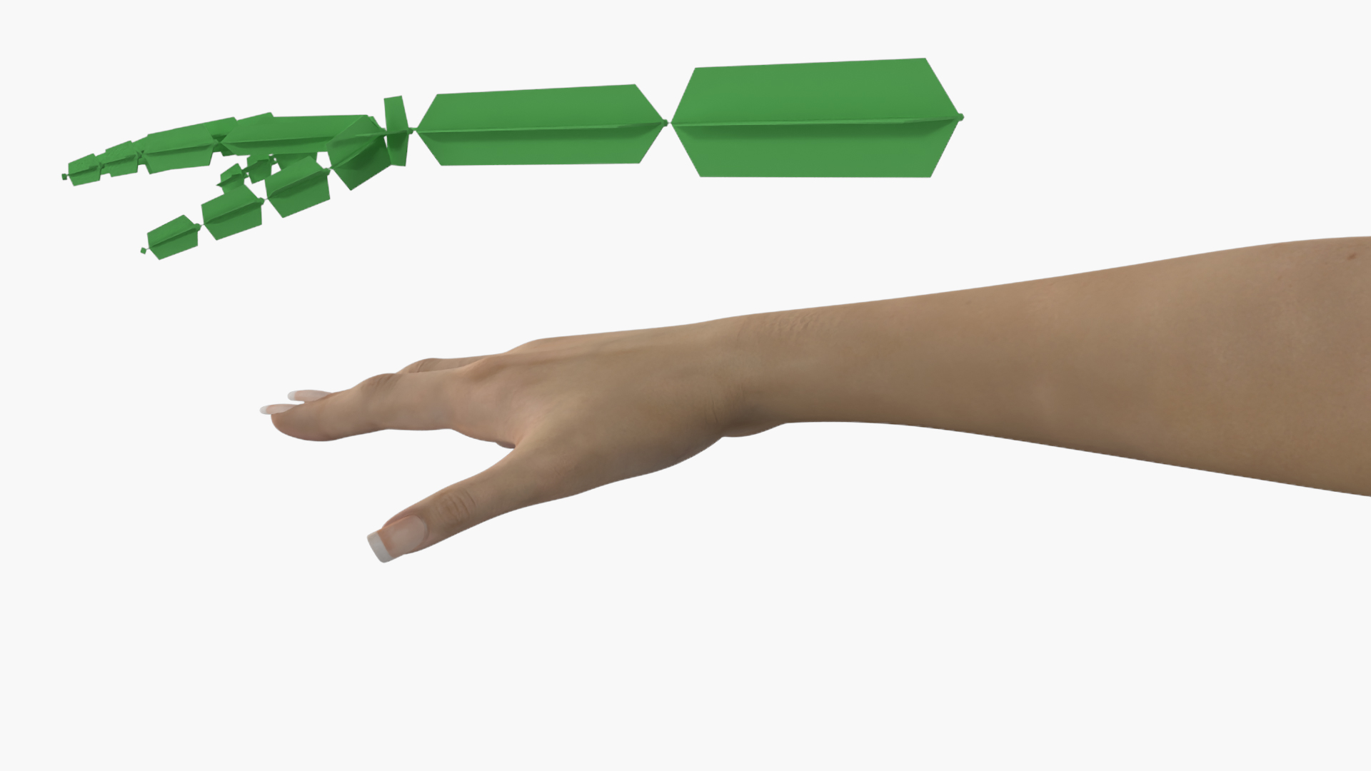 3D Realistic Female Hand Rigged model