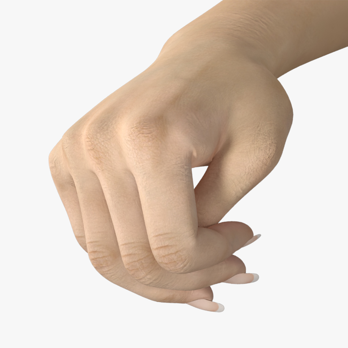 3D Realistic Female Hand Rigged model