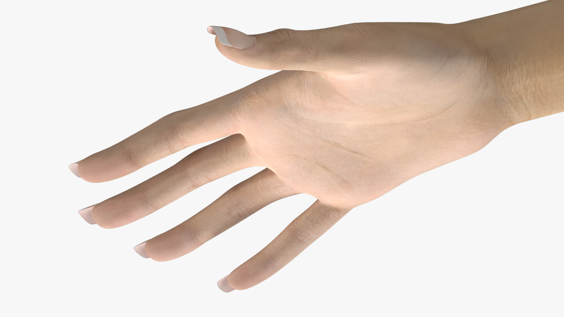3D Realistic Female Hand Rigged model