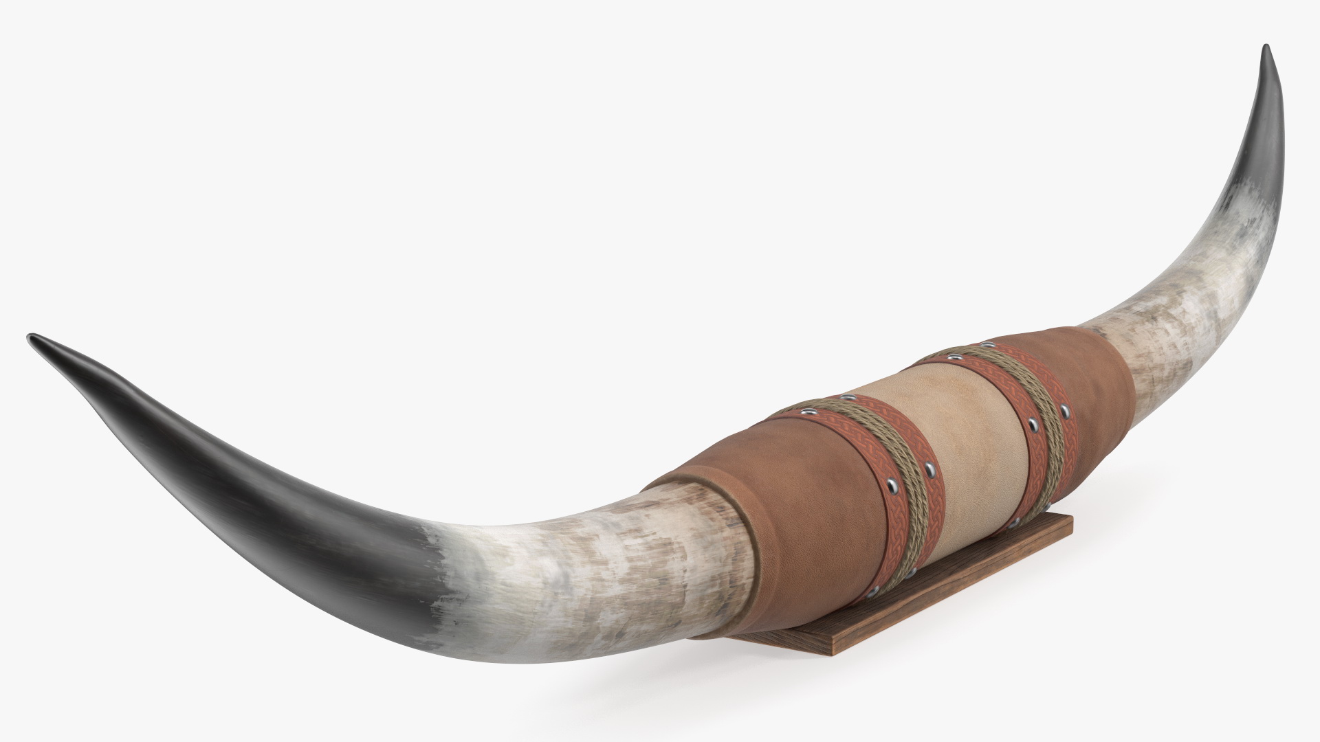 Bull Horns with Leather Mount 3D model