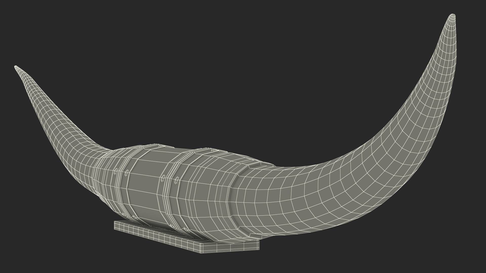 Bull Horns with Leather Mount 3D model
