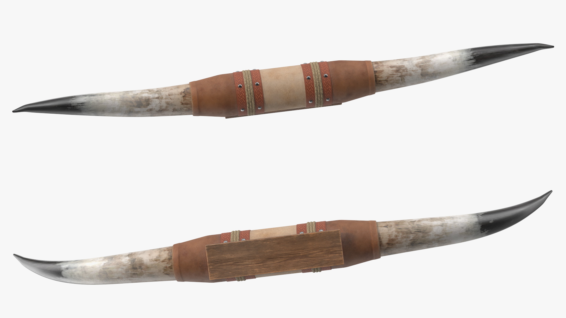 Bull Horns with Leather Mount 3D model