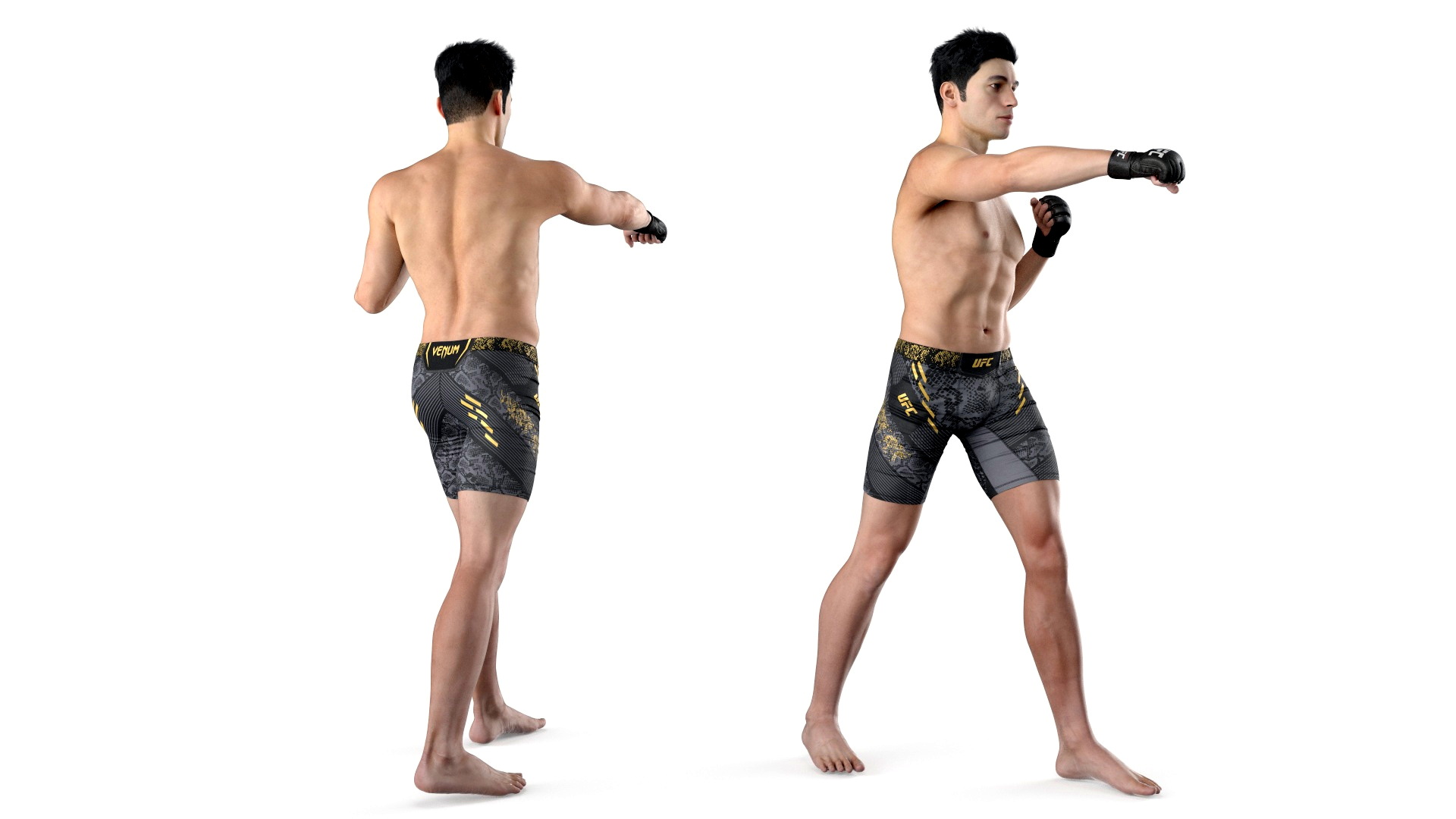 3D UFC MMA Fighter Fur Rigged