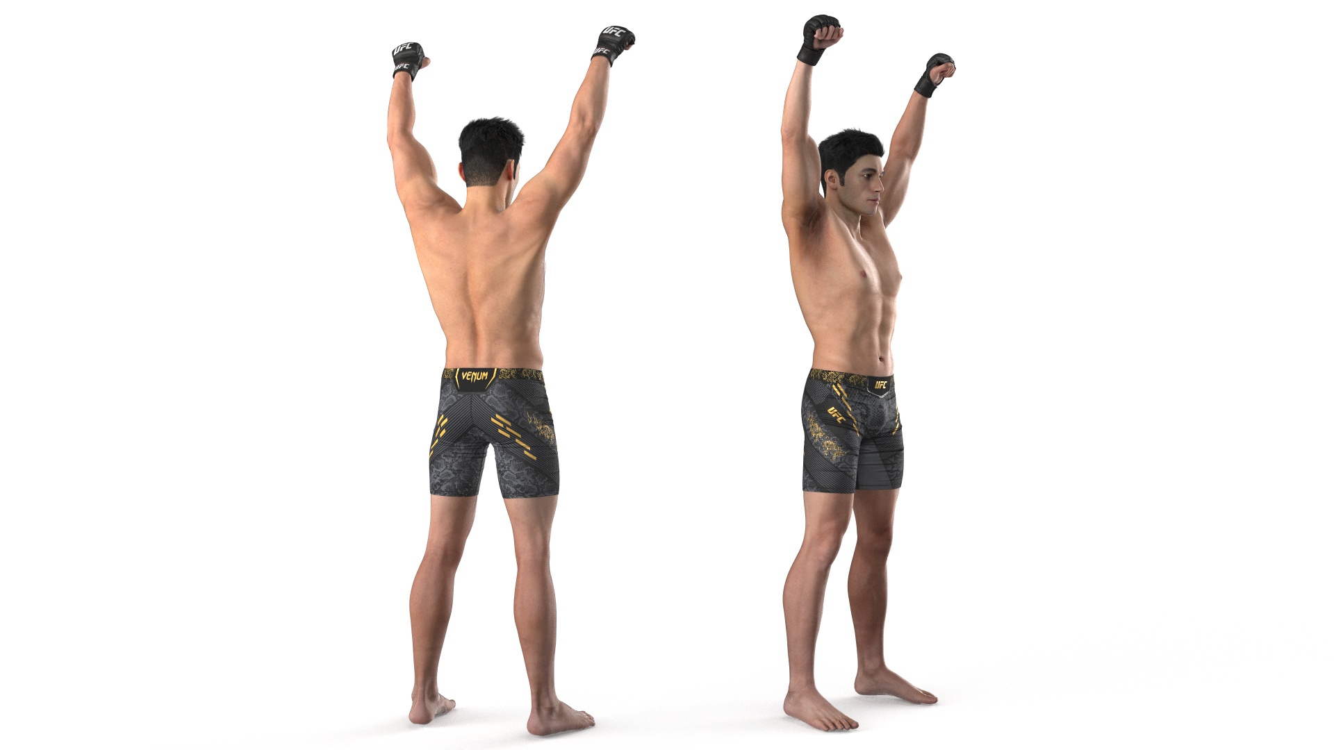 3D UFC MMA Fighter Fur Rigged