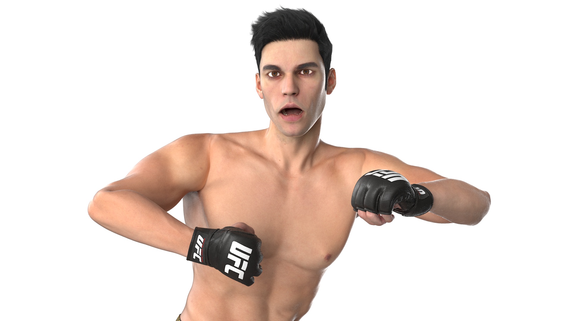 3D UFC MMA Fighter Fur Rigged
