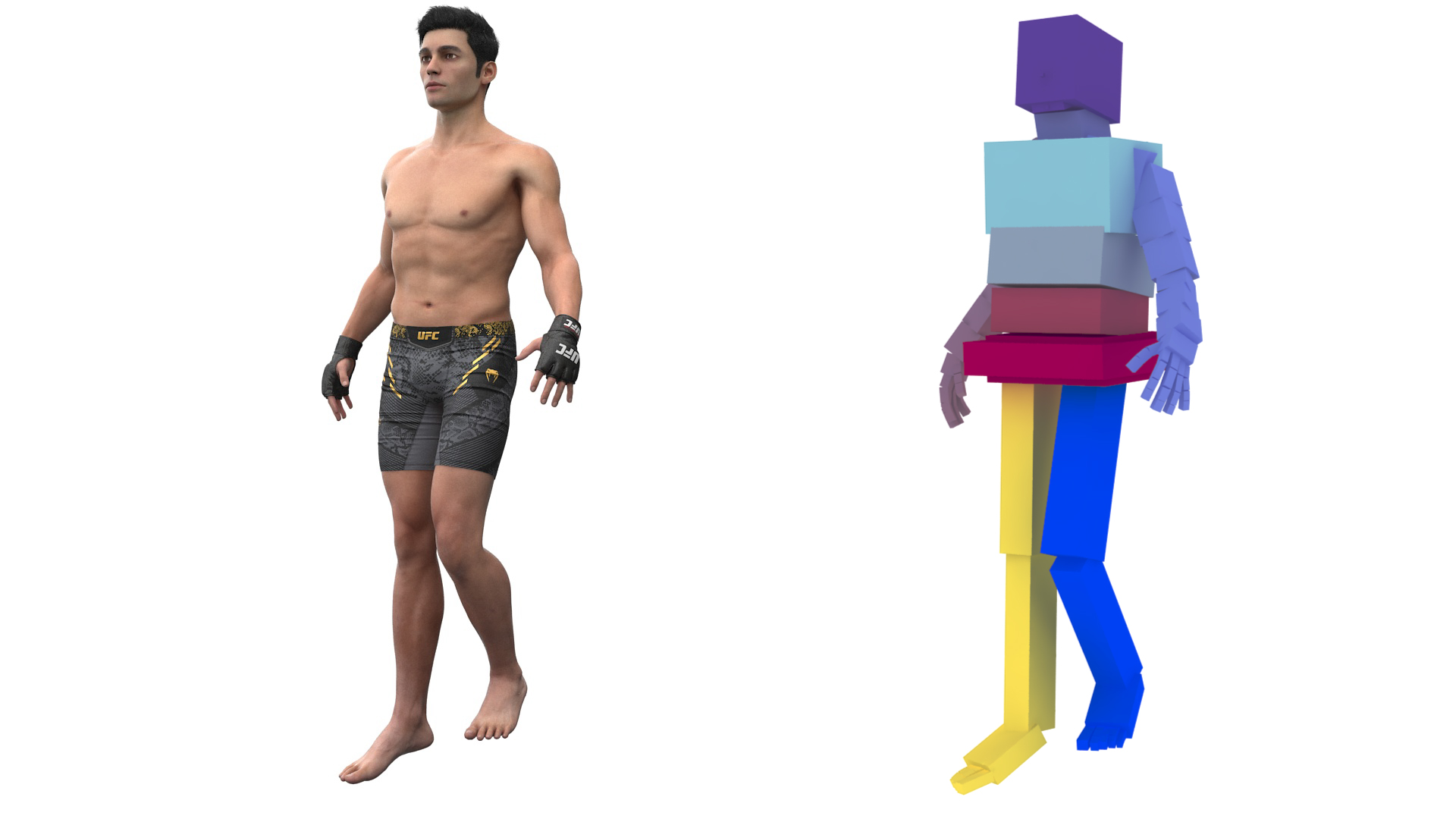 3D UFC MMA Fighter Fur Rigged
