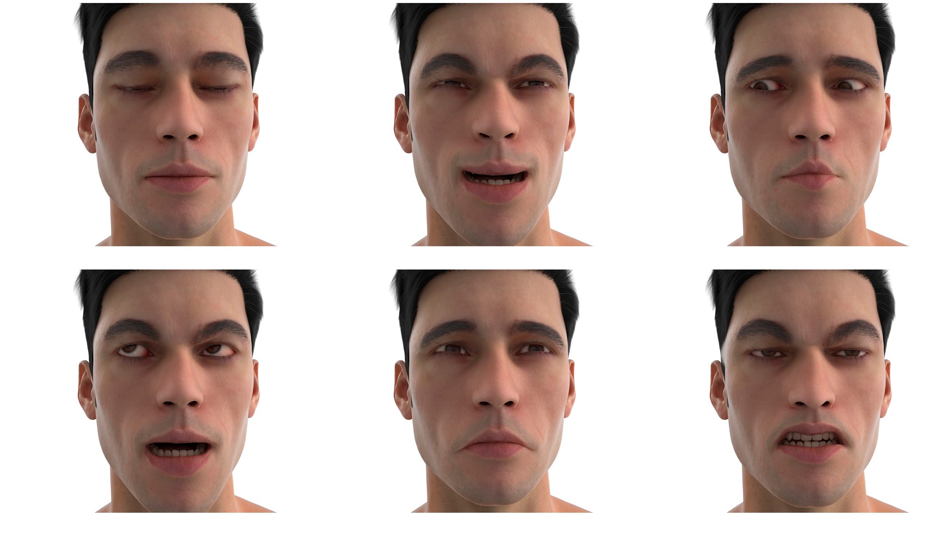 3D UFC MMA Fighter Fur Rigged