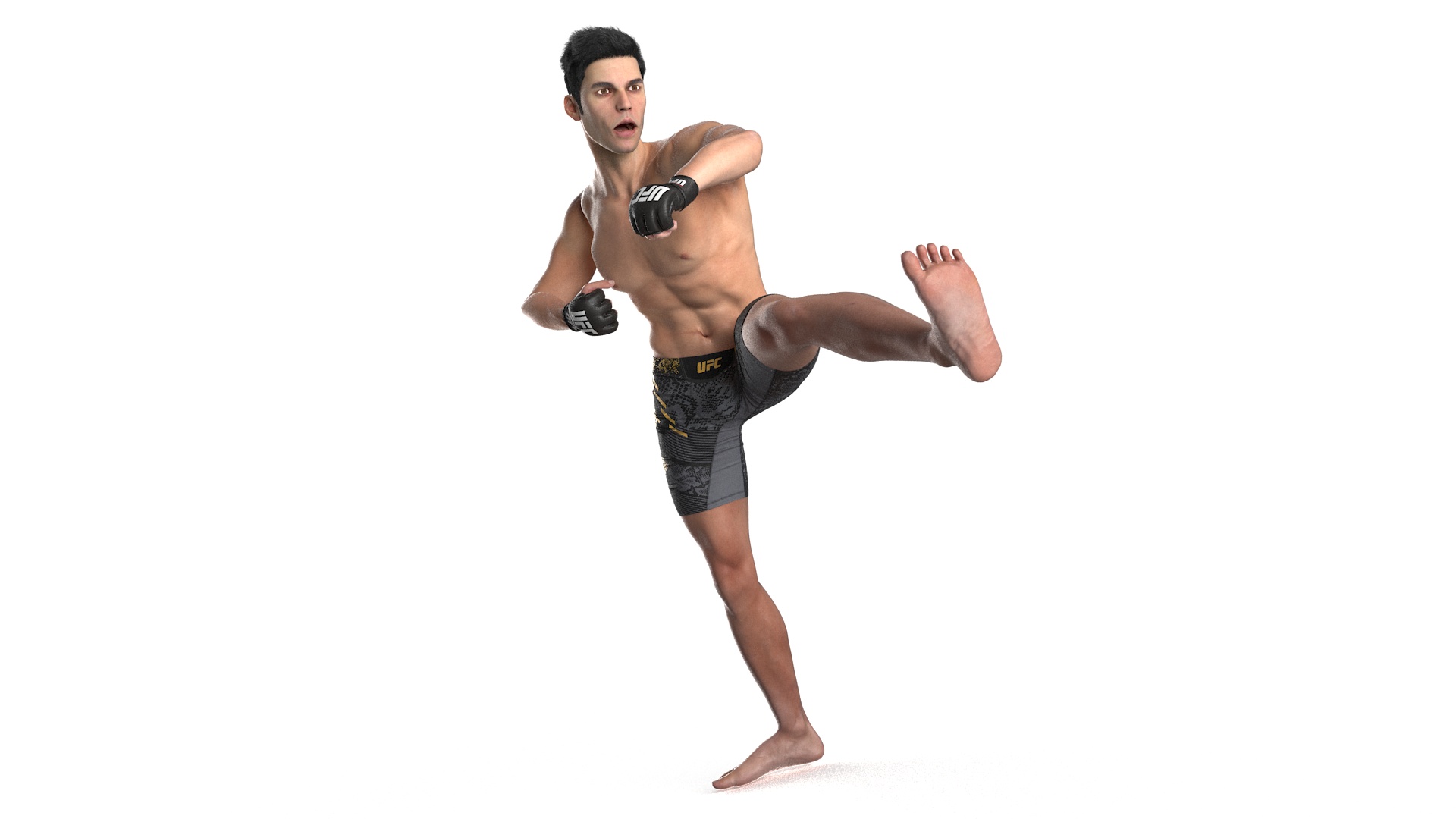 3D UFC MMA Fighter Fur Rigged