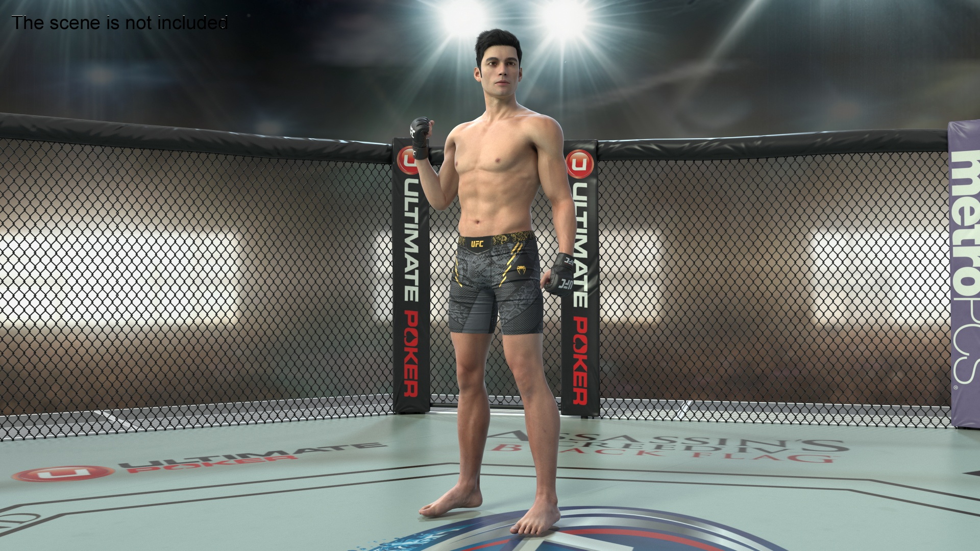3D UFC MMA Fighter Fur Rigged