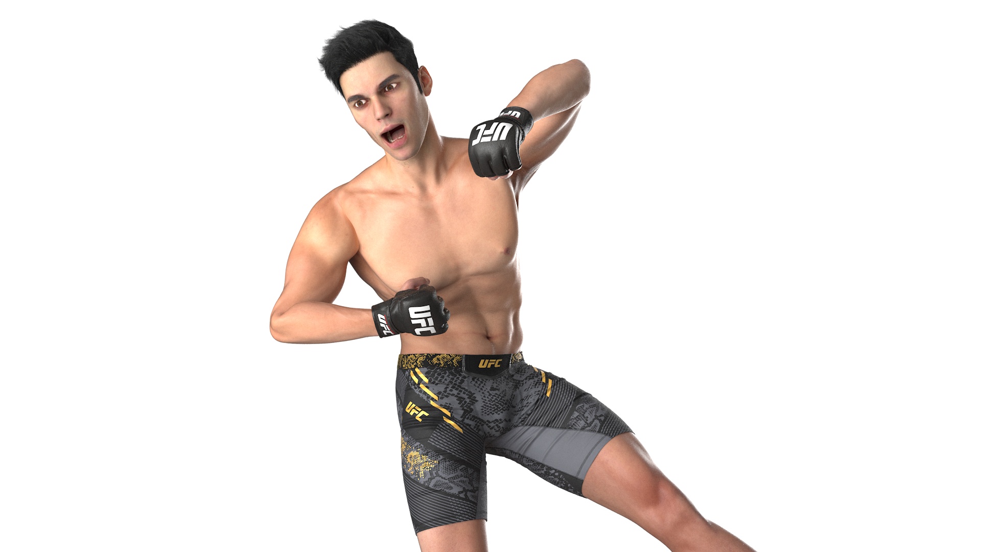 3D UFC MMA Fighter Fur Rigged
