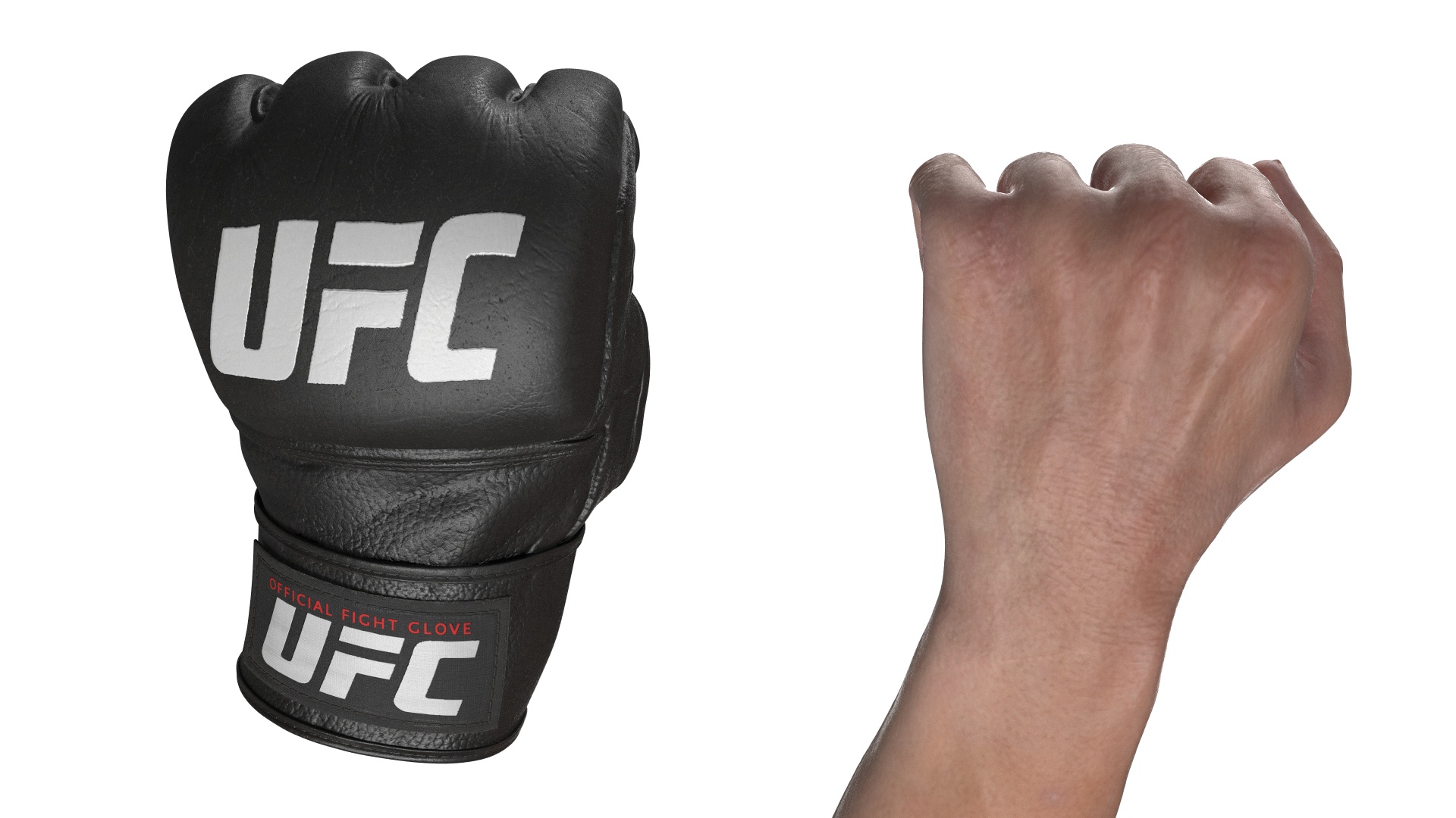 3D UFC MMA Fighter Fur Rigged