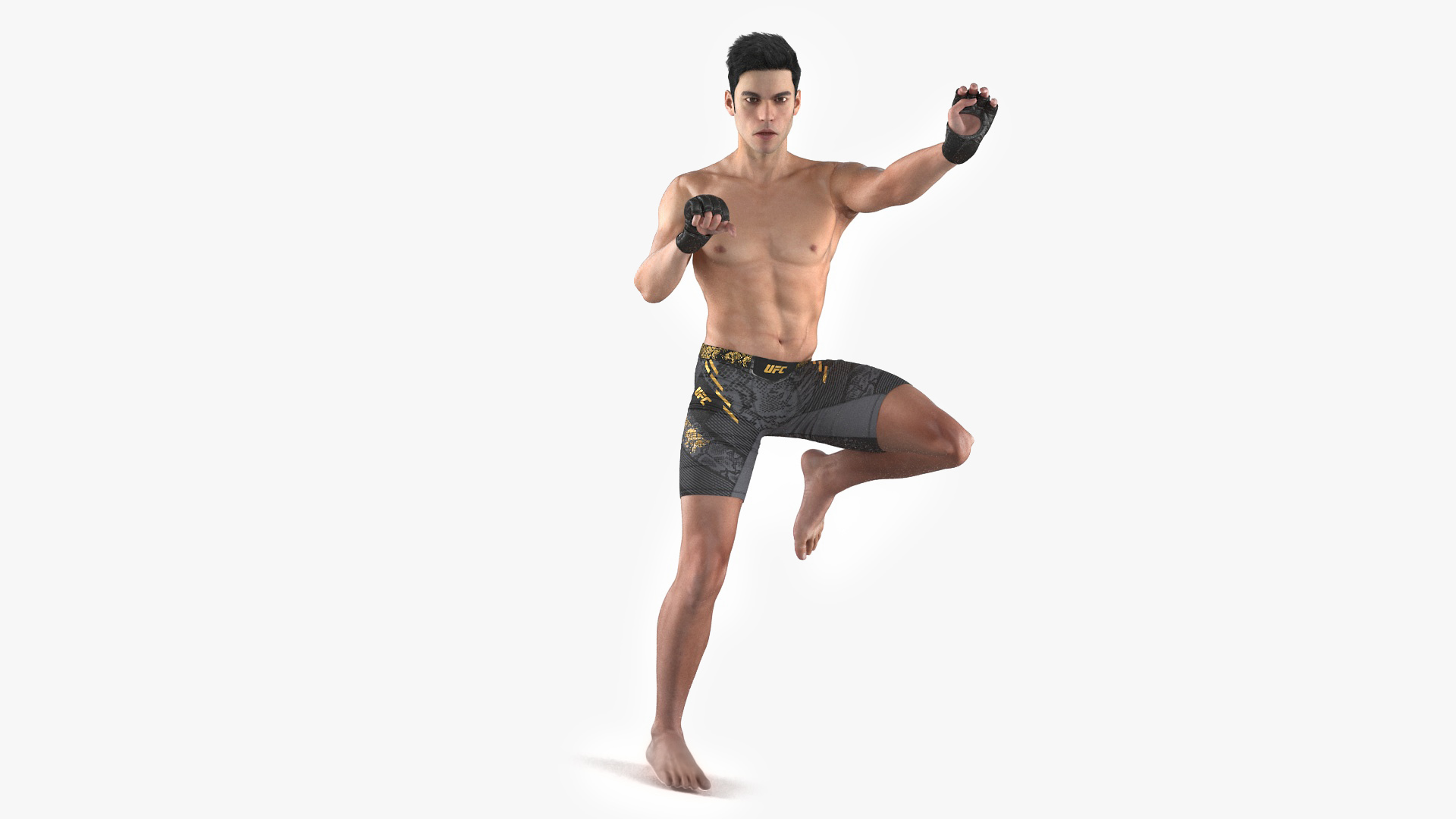 3D UFC MMA Fighter Fur Rigged