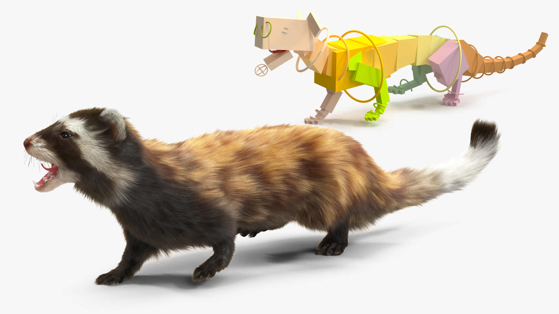 3D Vormela Peregusna Fur Rigged model