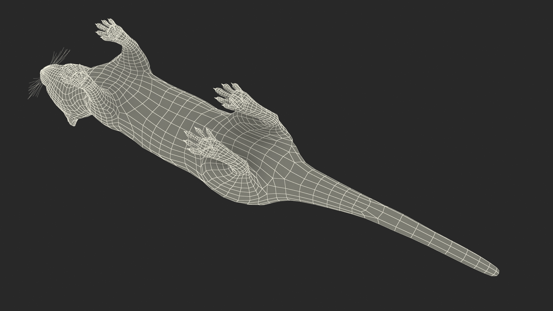 3D Vormela Peregusna Fur Rigged model
