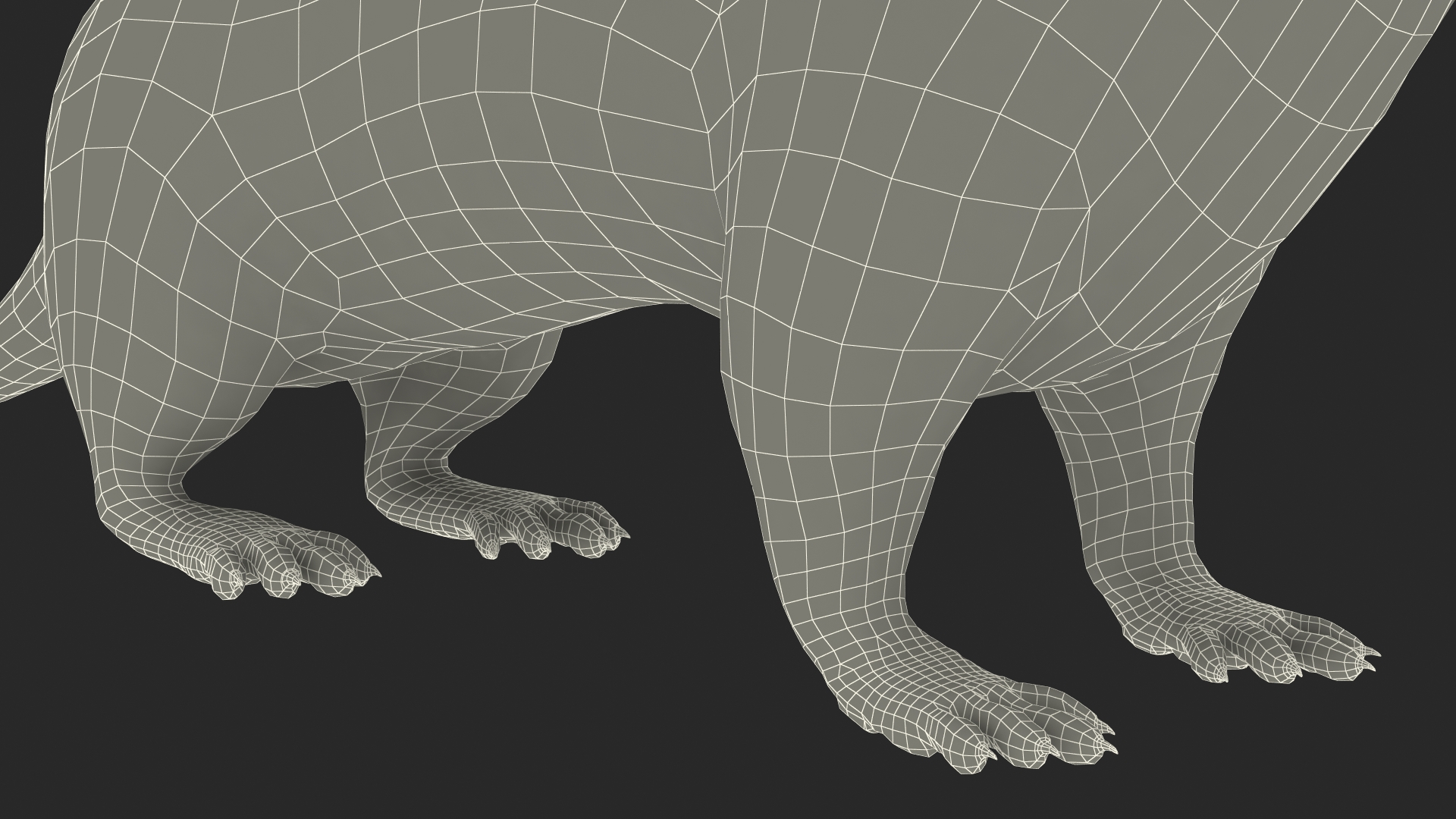3D Vormela Peregusna Fur Rigged model