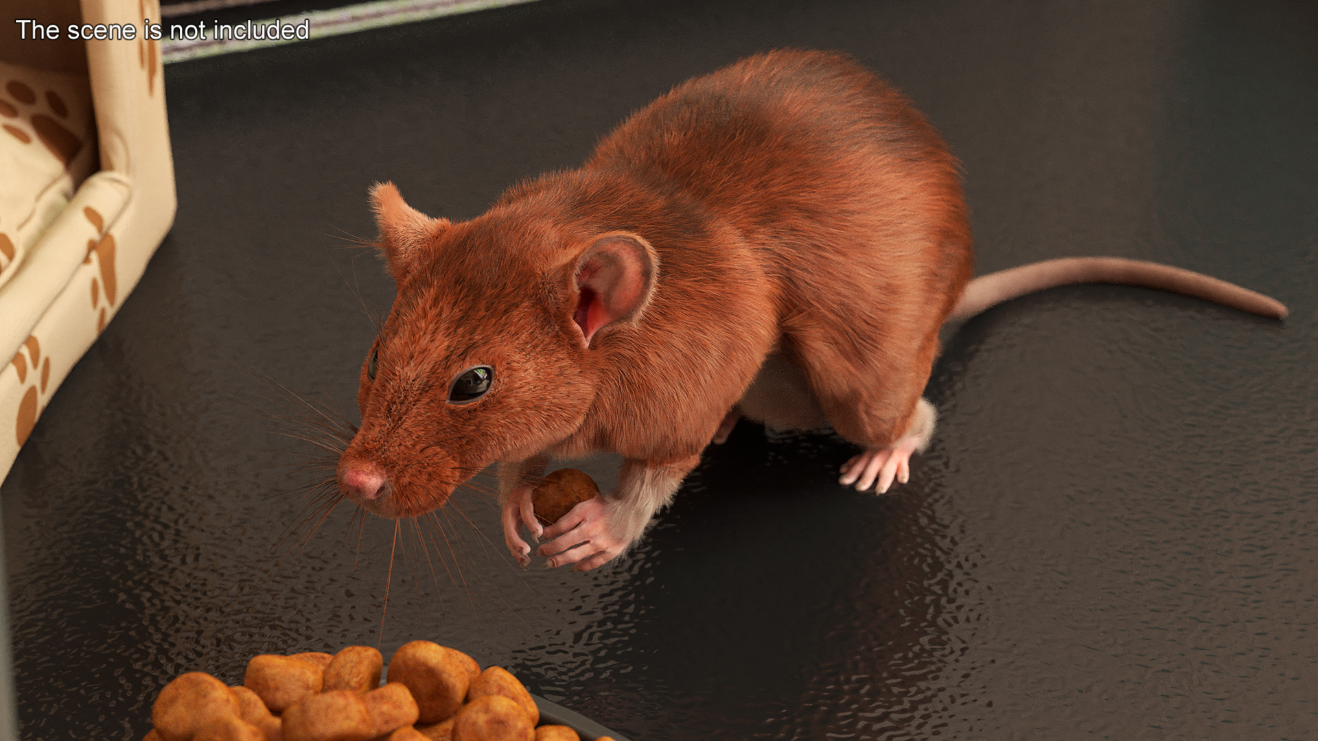 Realistic Lifelike Rodent Rat 3D model