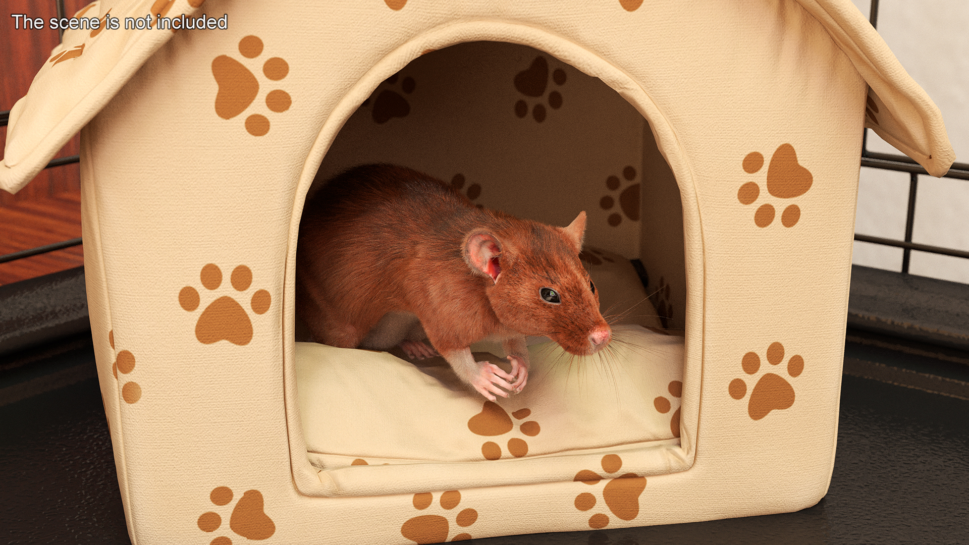 Realistic Lifelike Rodent Rat 3D model