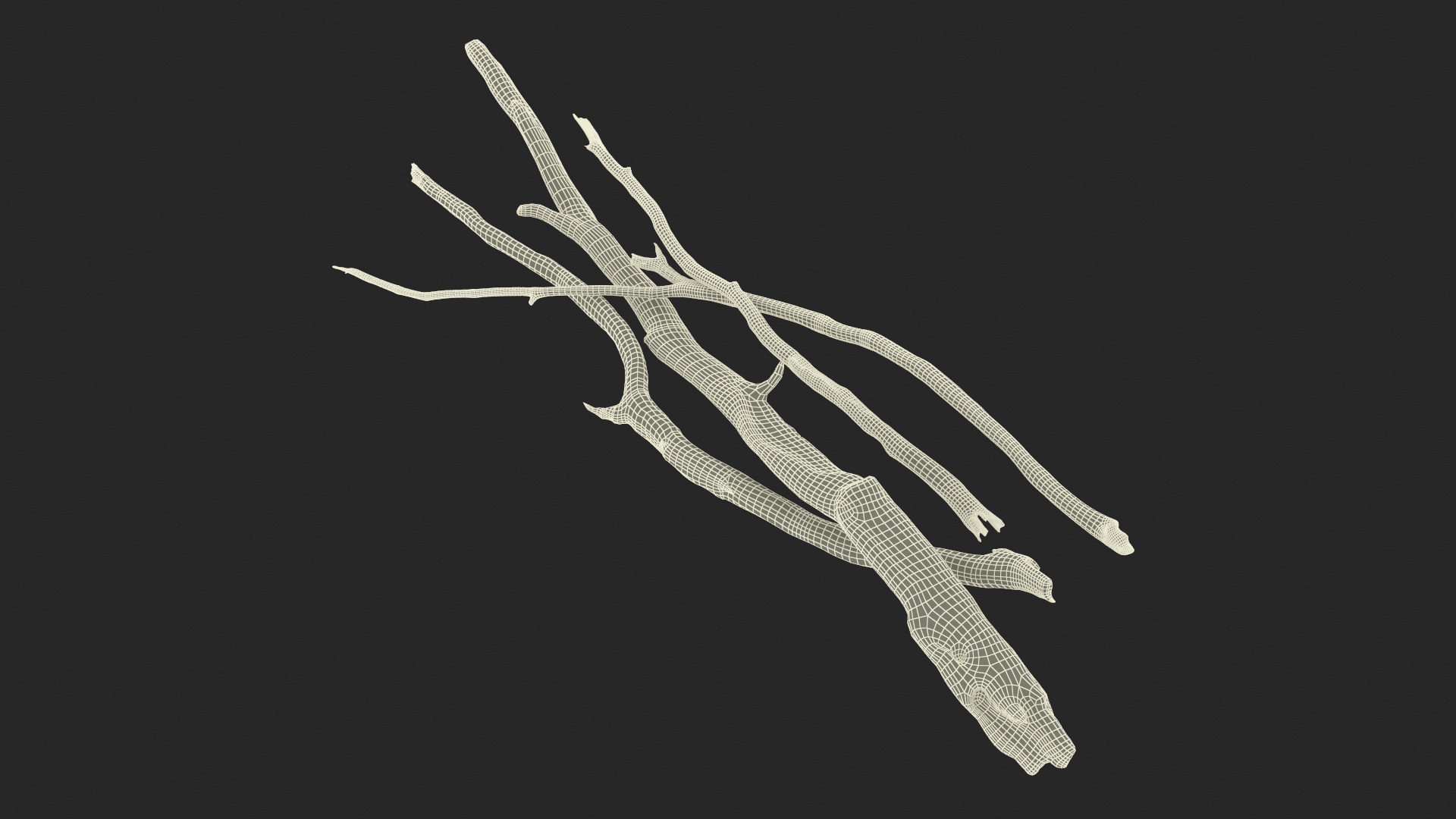 3D model Heap of Dry Branches