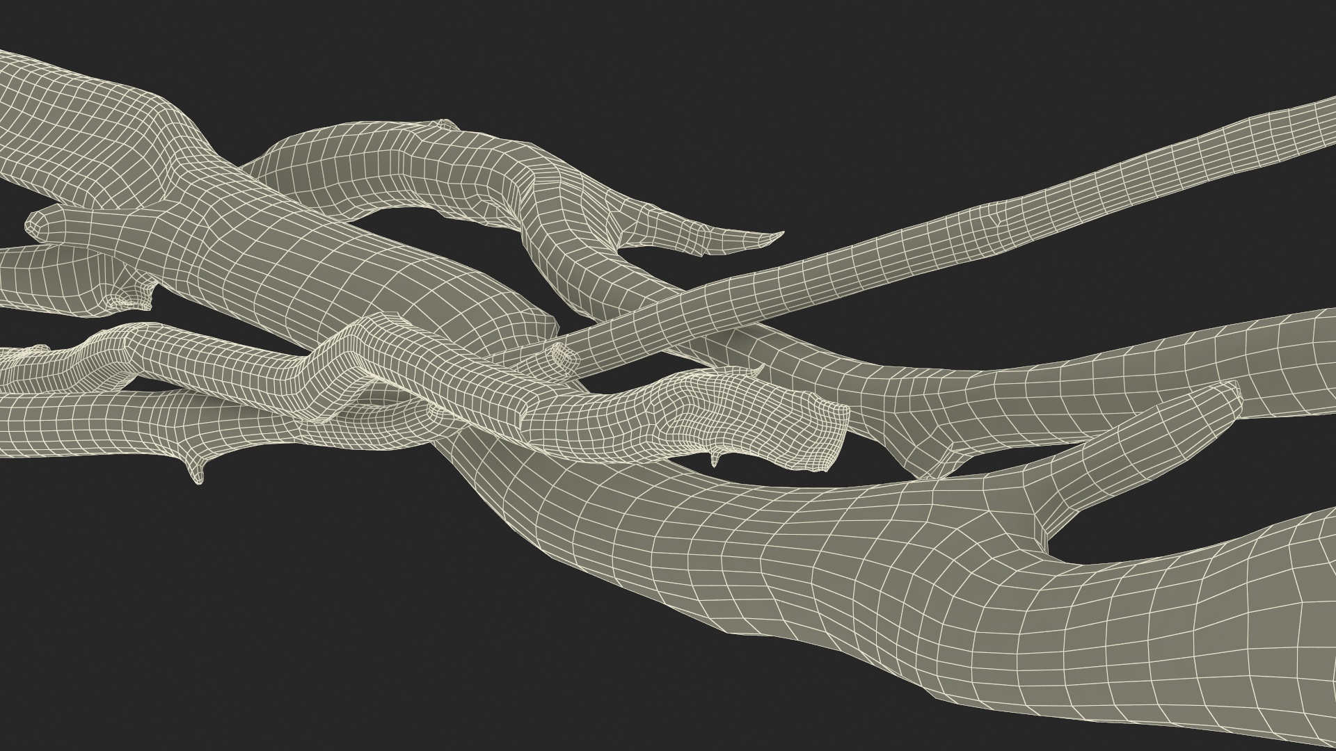 3D model Heap of Dry Branches