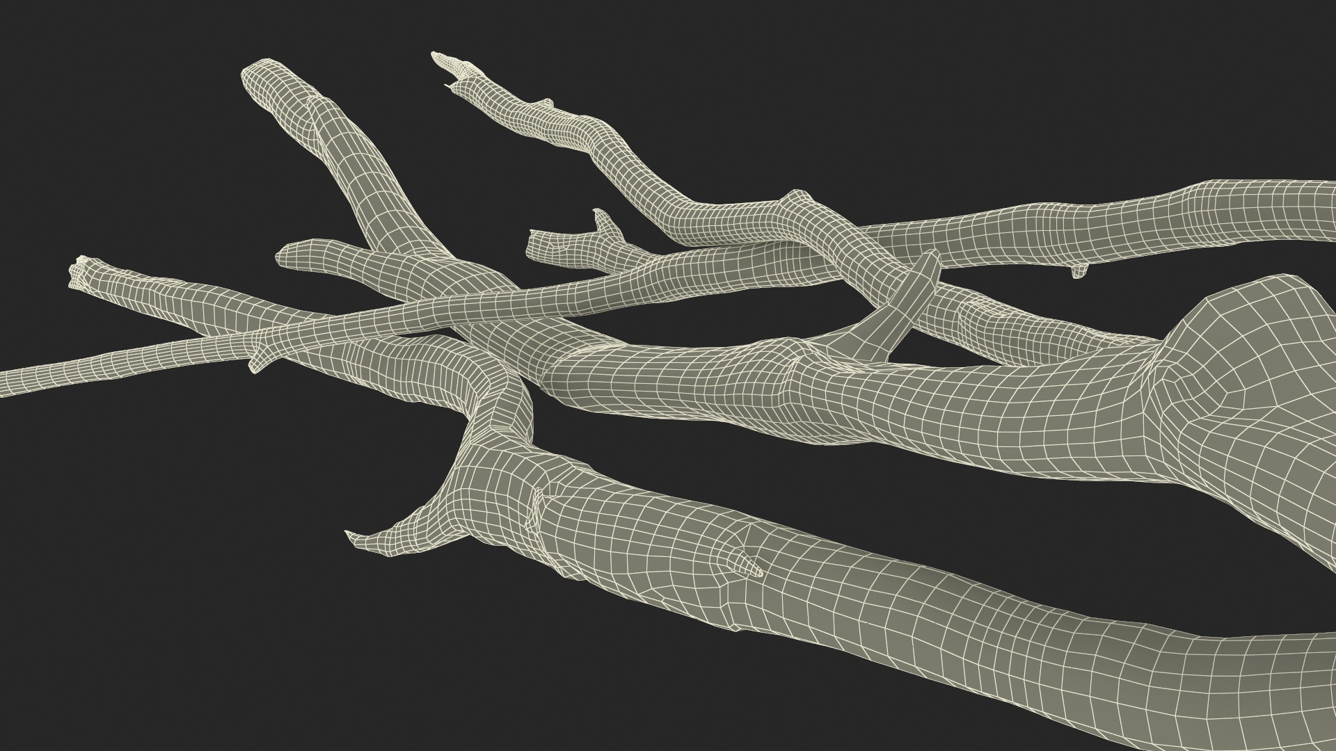 3D model Heap of Dry Branches