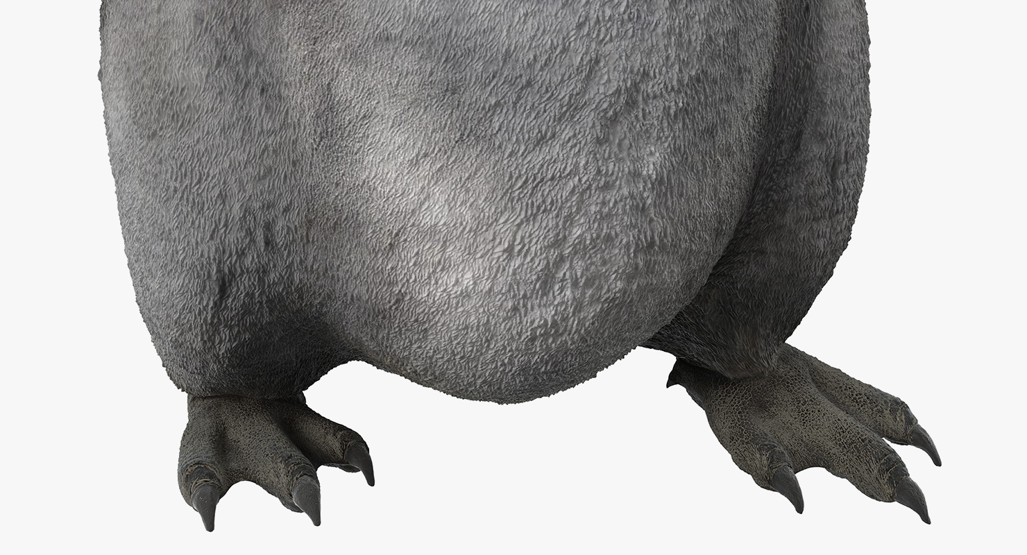 Baby Emperor Penguin Rigged 3D