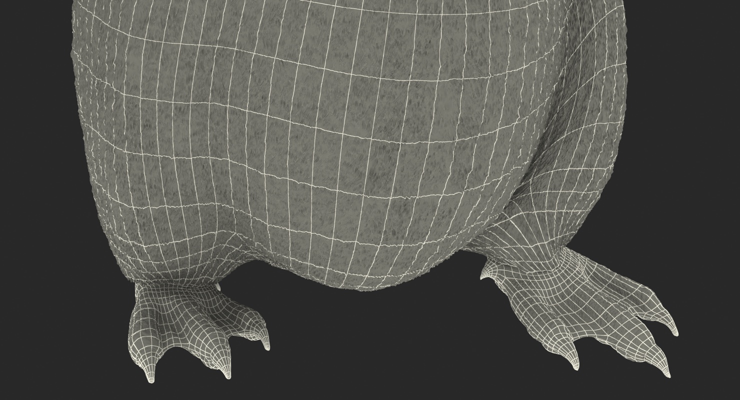 Baby Emperor Penguin Rigged 3D