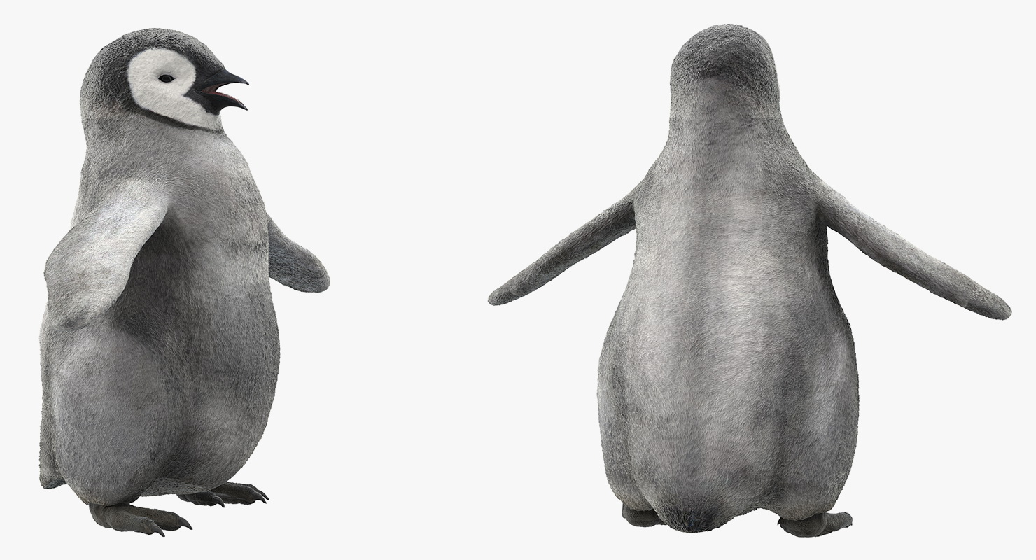 Baby Emperor Penguin Rigged 3D