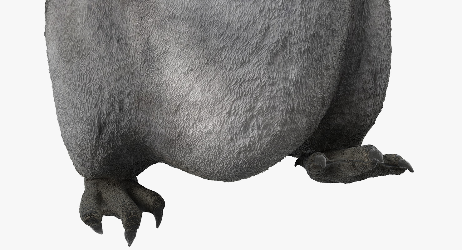 Baby Emperor Penguin Rigged 3D