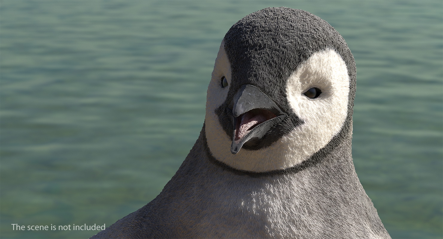 Baby Emperor Penguin Rigged 3D