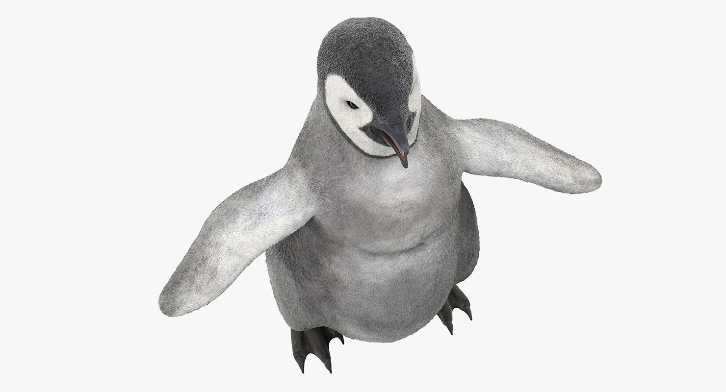 Baby Emperor Penguin Rigged 3D
