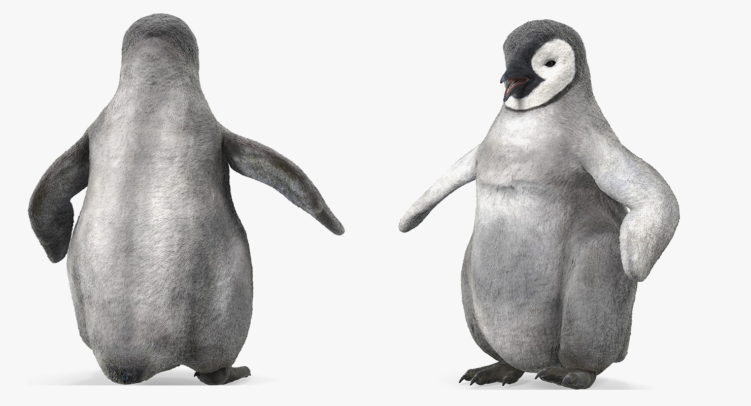 Baby Emperor Penguin Rigged 3D