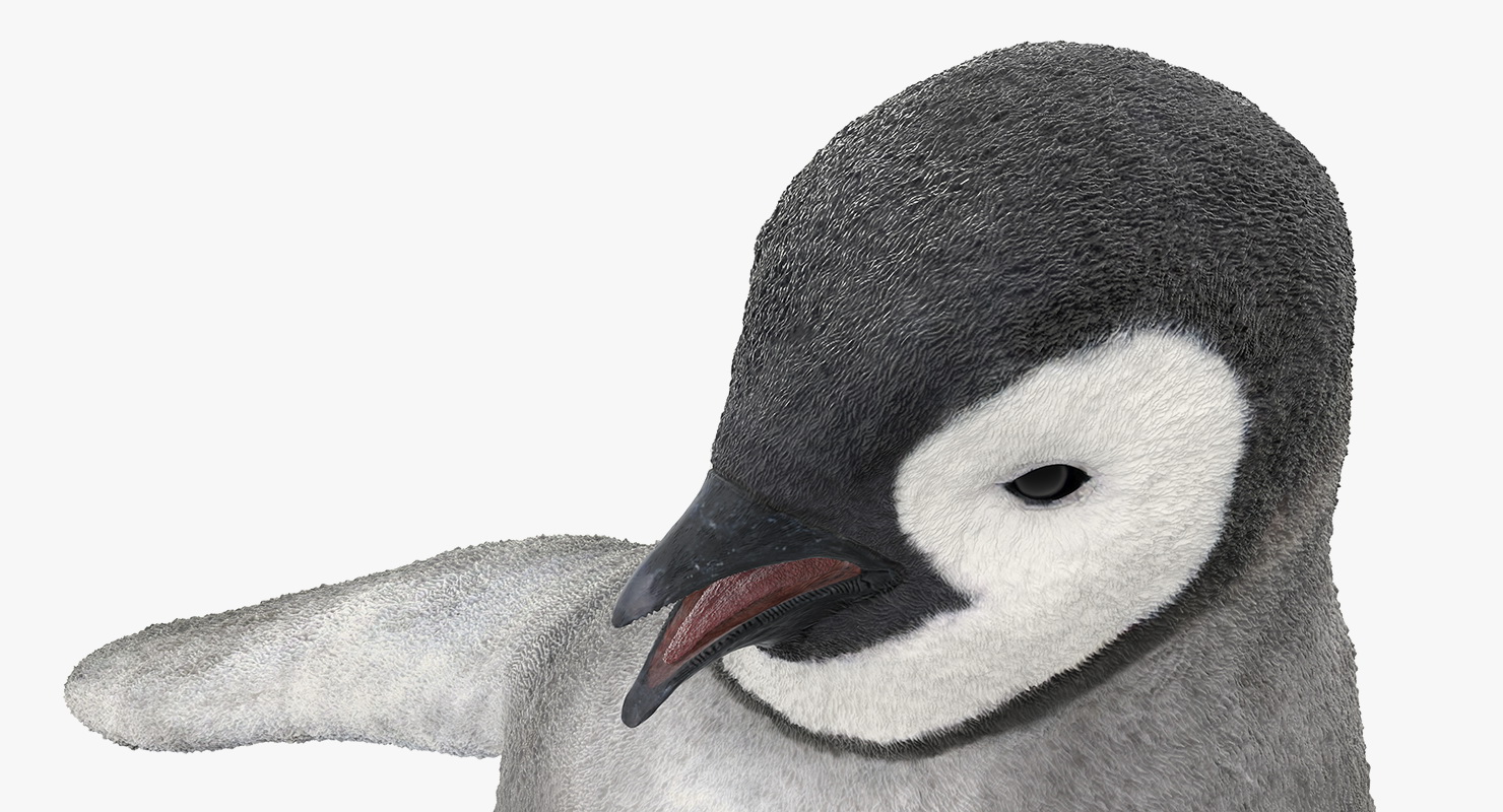 Baby Emperor Penguin Rigged 3D