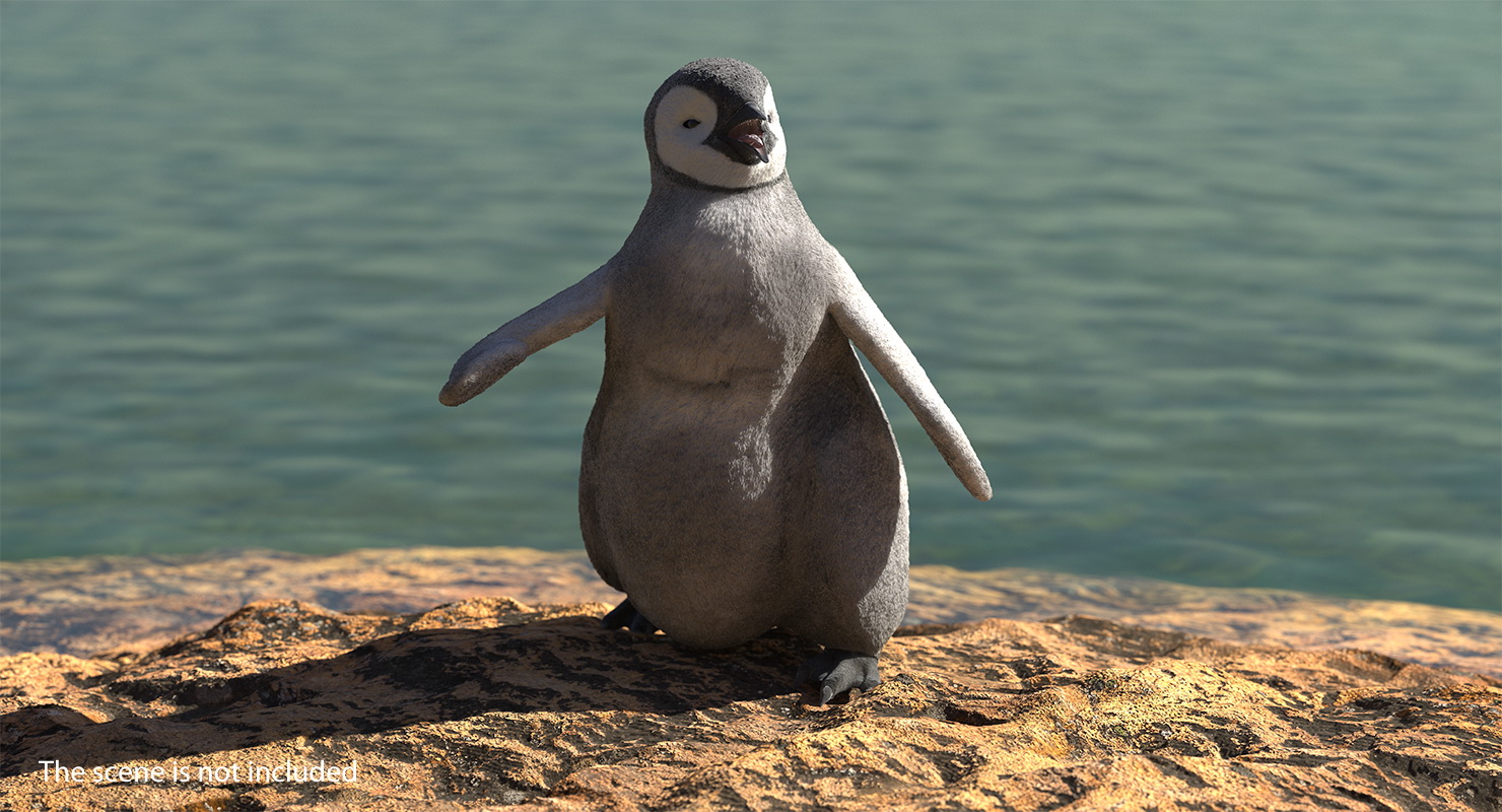 Baby Emperor Penguin Rigged 3D
