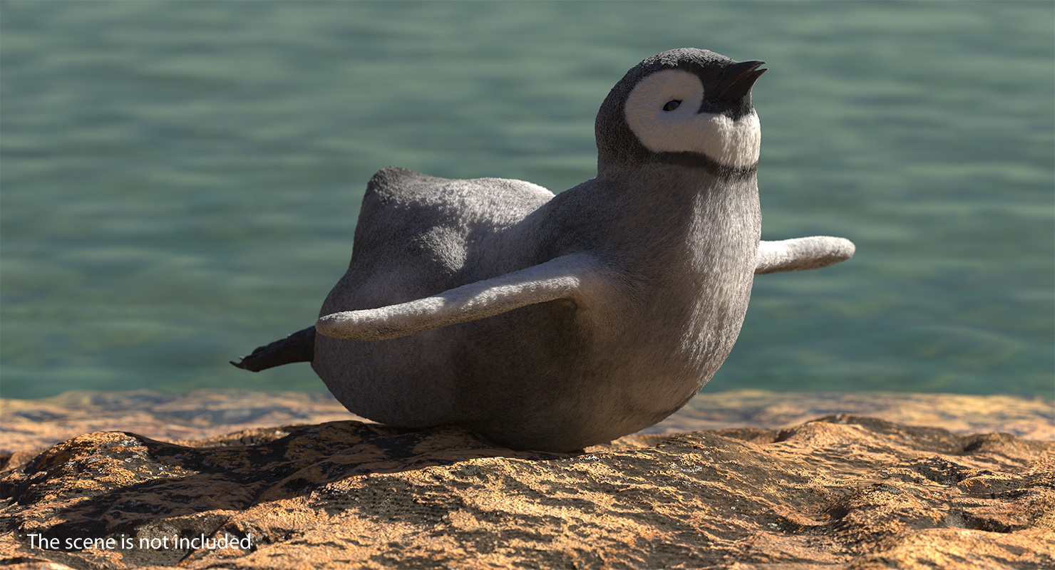 Baby Emperor Penguin Rigged 3D