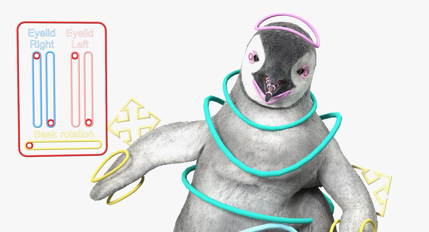 Baby Emperor Penguin Rigged 3D