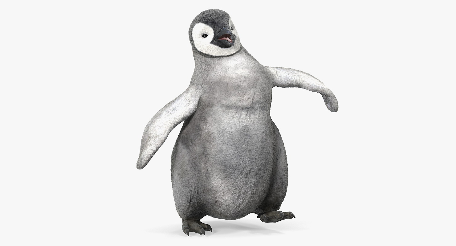 Baby Emperor Penguin Rigged 3D