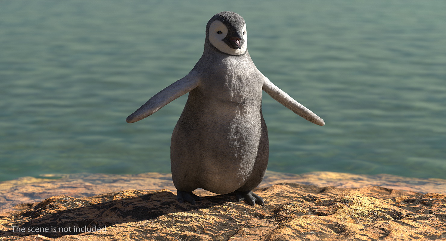Baby Emperor Penguin Rigged 3D